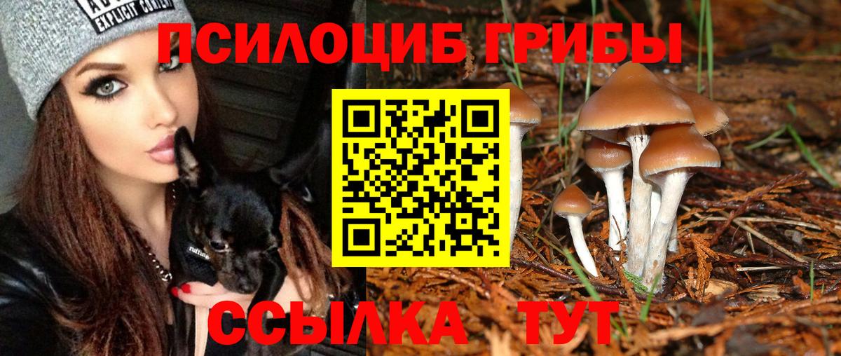 Псилоцибиновые грибы ЛСД  Вход с VPN  Бугульма  где купить наркоту  Галлюциногенные грибы Psilocybe 