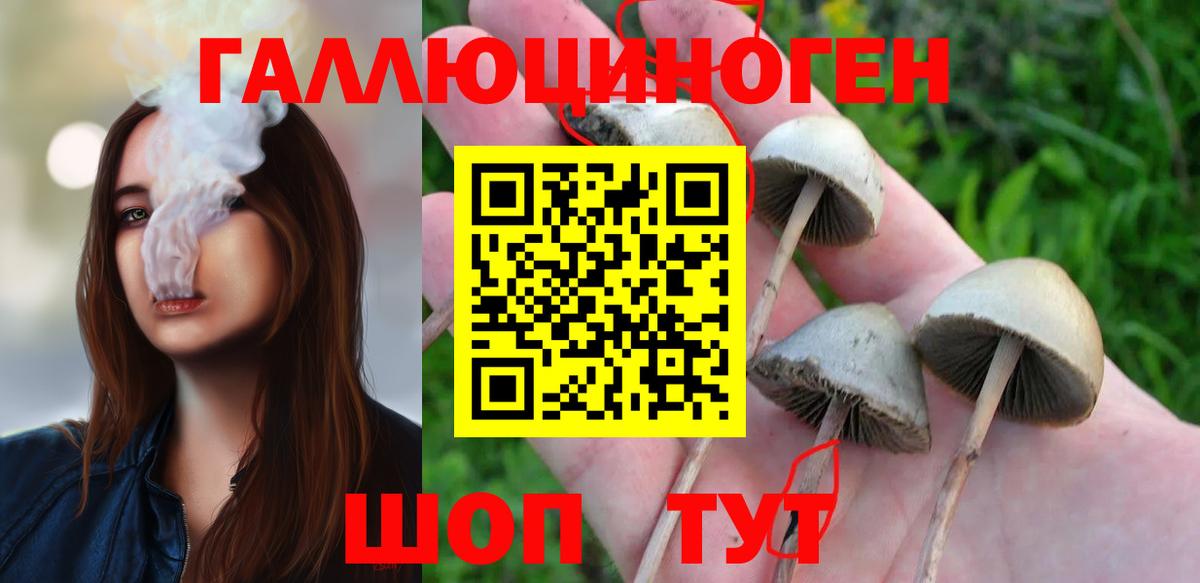 Псилоцибиновые грибы Psilocybe Бугульма